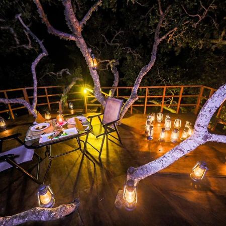Tribe Yala - Luxury Camping Esterno foto