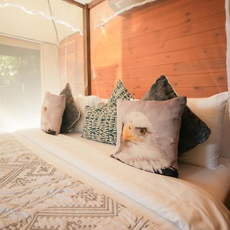 Tribe Yala - Luxury Camping Esterno foto