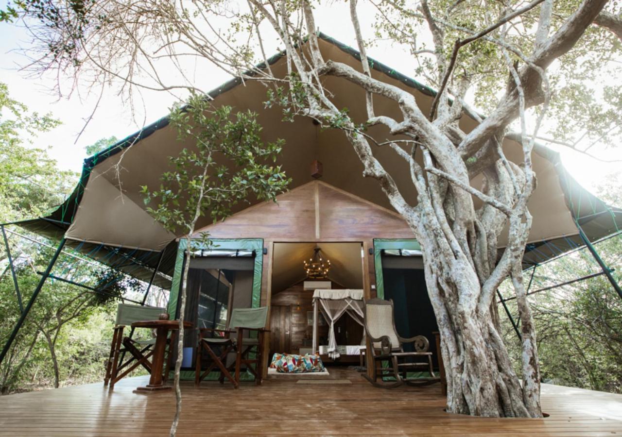 Tribe Yala - Luxury Camping Esterno foto