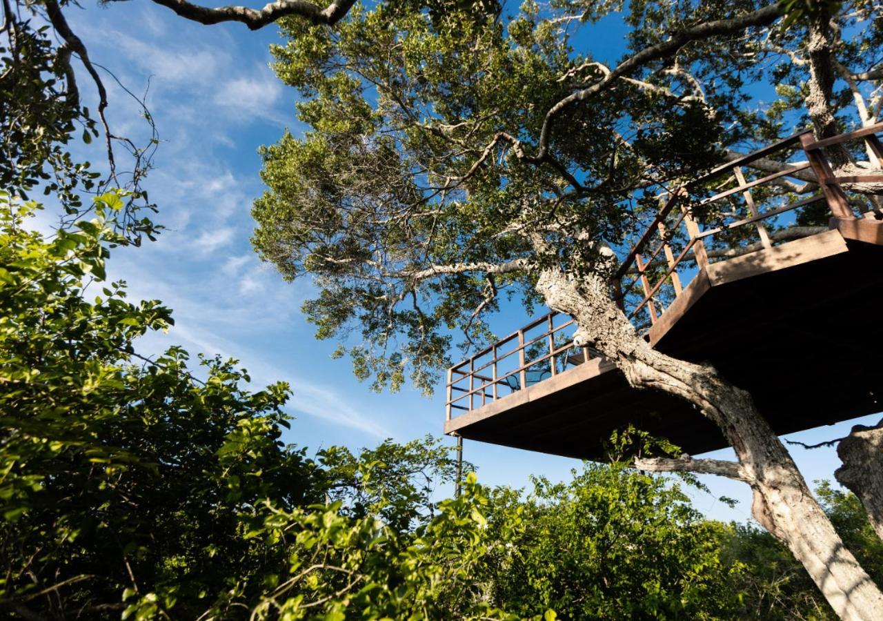 Tribe Yala - Luxury Camping Esterno foto