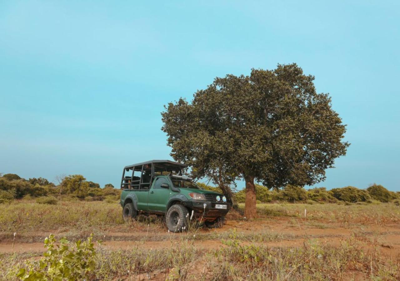 Tribe Yala - Luxury Camping Esterno foto