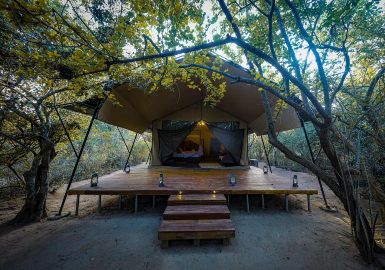 Tribe Yala - Luxury Camping Esterno foto
