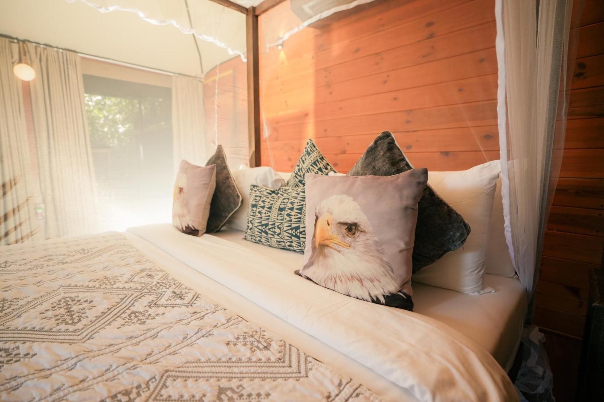 Tribe Yala - Luxury Camping Esterno foto
